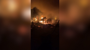 В Свердловской области при пожаре в частном приюте заживо сгорело более 30 собак и кошек