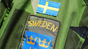 "Потенциала достаточно": Армия Швеции пригрозила России "военными проблемами"