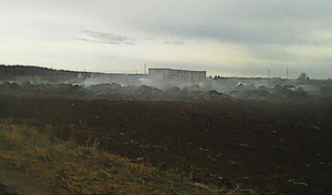 В Пермском крае малолетние тиктокерши сожгли ферму во время съёмки эффектного ролика