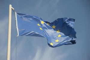 Главы МИД стран ЕС выразили солидарность с Францией в конфликте с США
