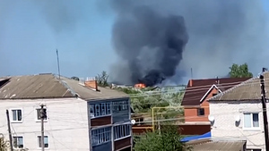 В Ульяновской области огонь с полыхающего здания бывшего лесокомбината перекинулся на жилые дома