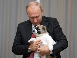 Путин поручил кабмину до конца 2021 года подготовить законопроект об учёте домашних животных