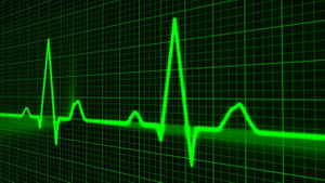 Кардиолог: Частота сердечного ритма указывает на продолжительность жизни человека