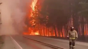 Движение на трассе Екатеринбург — Тюмень закрыли из-за мощного лесного пожара