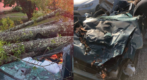 Невероятное фото: водитель чудом остался невредимым, когда молния повалила дерево прямо на его авто