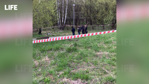 В Москве дети нашли мину во время прогулки в парке