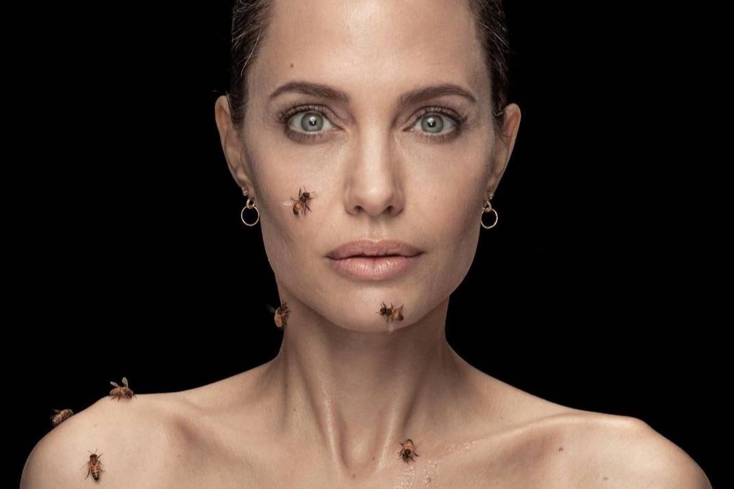 Анджелину Джоли полностью облепили пчёлы, но ради важной цели она не повела даже бровью — видео