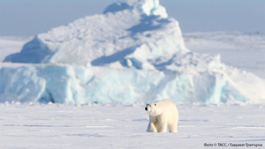 Битва за Арктику: кому не нравится превосходство России на Севере