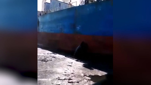 "Вот это мы приехали!": У Сахалина российское судно пробило борт китайскому