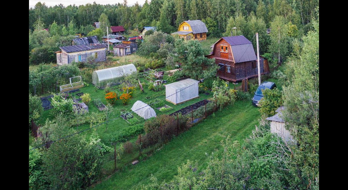 Тайна кадастра: Как остаться без денег, купив участок под дачу