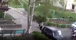 Ветер повалил дерево на группу женщин с детьми в Петрозаводске