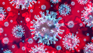 Учёные нашли доказательства лабораторного происхождения коронавируса