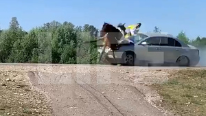 Лошадь подбросило в воздух: Автомобиль на бешеной скорости снёс телегу с людьми и попал на видео