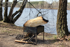Россиянам дали советы, как не спалить лес из-за шашлыков