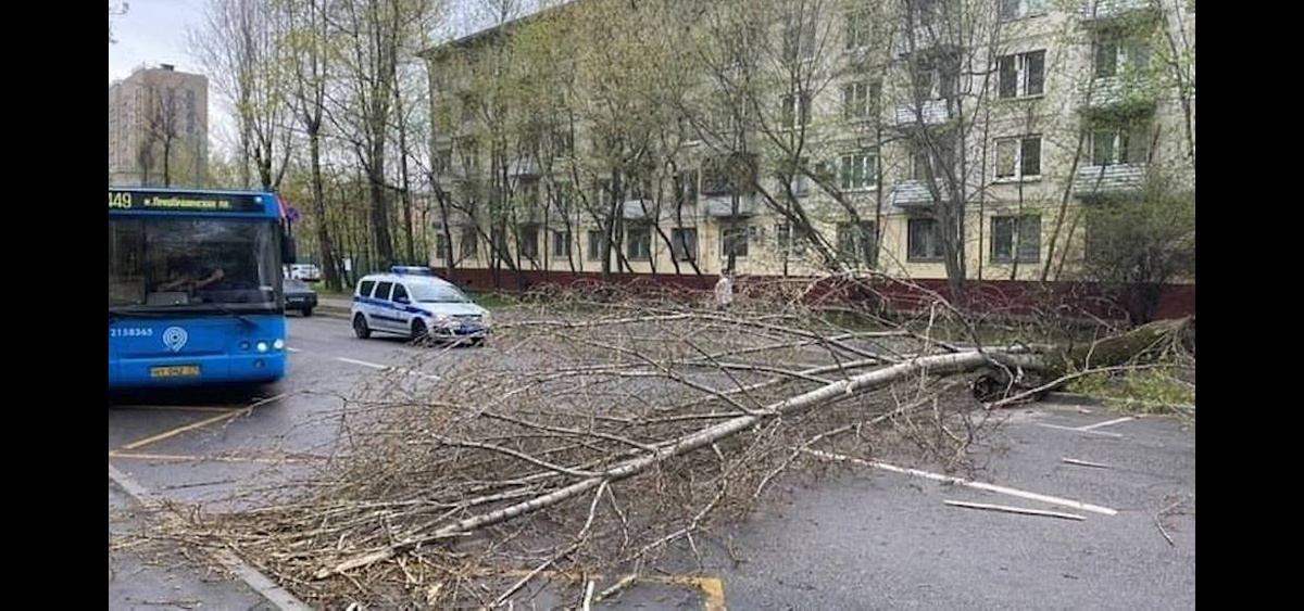 Ураган в москве 20 июня 2024г. Ураган 1998. Ураганный ветер в Москве. Ураган в Москве. Московский ураган в мае 2017.