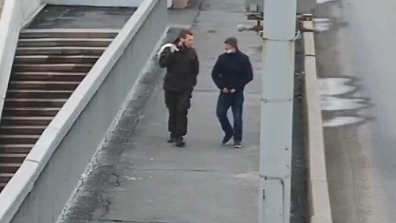 Ограбление средь бела дня на петербургском мосту попало на видео
