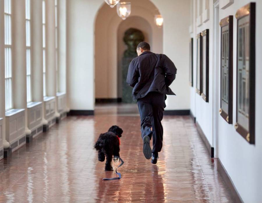 Фото © Twitter / Barack Obama