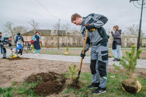 В России и за рубежом в День Победы в рамках акции "Сад памяти" высадили 20 тысяч деревьев