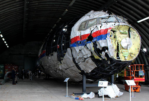 Ключевой свидетель заявил следствию по делу MH17, что не видел ЗРК "Бук" в Донбассе