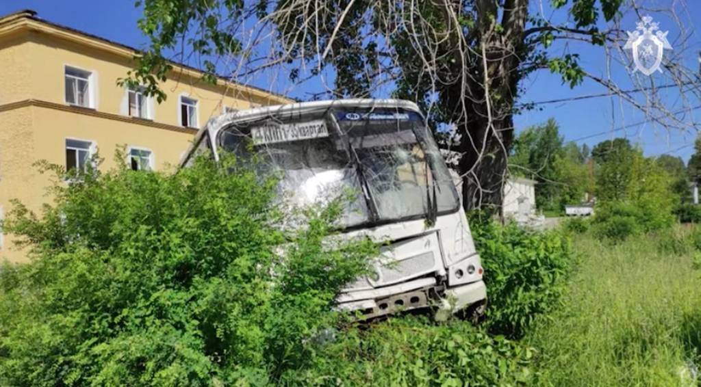 Задержан водитель автобуса, который насмерть сбил шесть человек на Урале