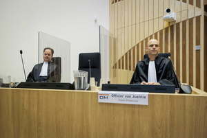 Голландские следователи хотели допросить Гиркина по делу MH17