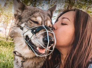 Дружелюбная и обожает обнимашки: Россиянка приручила волчицу и живёт с ней в квартире