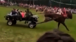 Все вдруг закричали: В Татарстане на Сабантуе лошадь с телегой протаранила зрителей