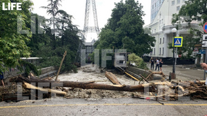 Вырванные деревья и разбитые машины: Лайф снял на видео последствия мощного наводнения в Ялте