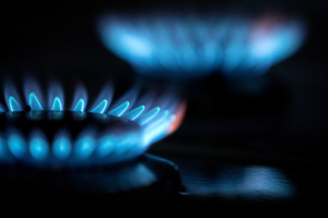 Совфед одобрил закон о бесплатном подключении населения к газу