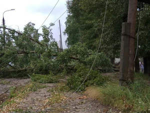 Почти 50 тысяч жителей Свердловской области остались без электричества из-за сильного урагана