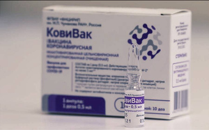 Эпидемиолог объяснил ажиотаж вокруг вакцины "Ковивак" в России