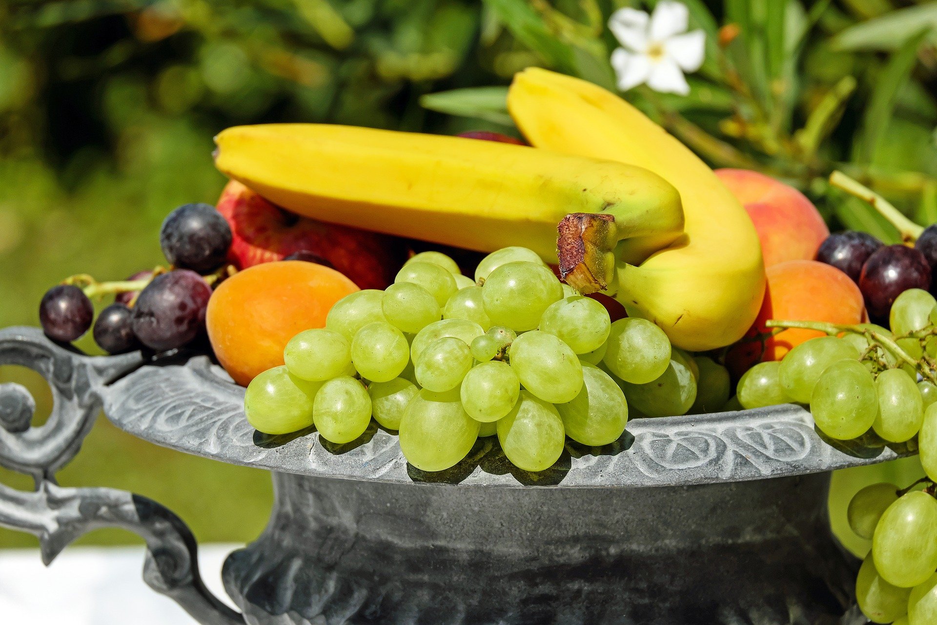Терапевт перечислила фрукты, наиболее эффективные для охлаждения в жару