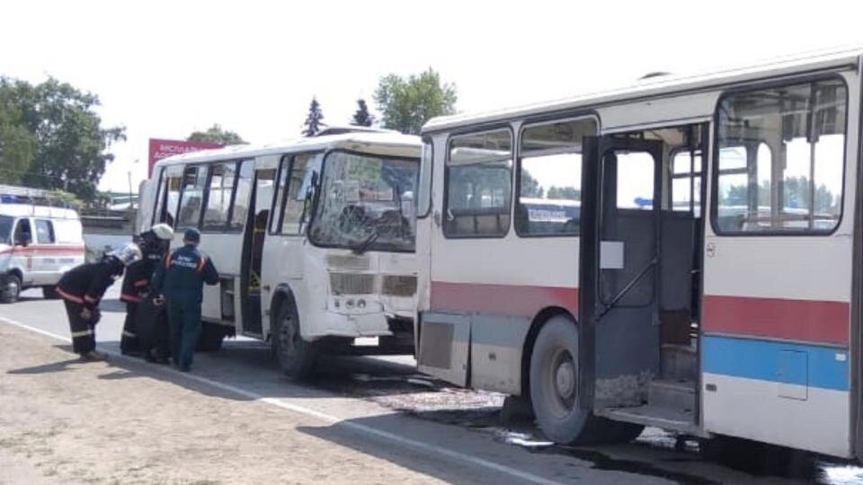 Восемь человек пострадали при столкновении двух рейсовых автобусов в Архангельской области