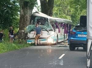 Скорость врезавшегося в дерево автобуса под Калининградом установили с помощью ГЛОНАСС
