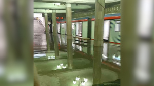 В Москве из-за суперливня закрыли участки двух линий метро