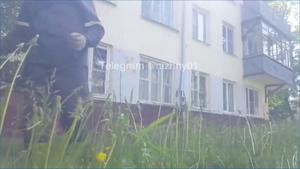 "Вас надо в психушку, вы уничтожаете природу!": Разъярённый россиянин бросился под газонокосилку ради защиты травы