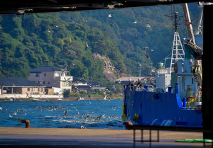 Япония назвала неприемлемым задержание её рыболовного судна в России