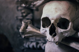 Учёные нашли в древнем черепе старейший штамм смертоносного вируса