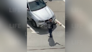 В Петербурге "крушитель" с топором атаковал машины на парковке и попал на видео