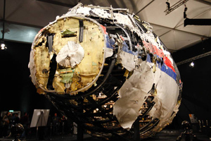 Останки двух пассажиров рухнувшего рейса MH17 не нашли до сих пор
