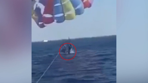 Плюс одна фобия в копилку: Акула выпрыгнула из Красного моря и откусила пятку туристу-парашютисту