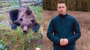 "Я уже смирился со смертью": Жуткий рассказ туриста, выжившего после нападения медведя в парке "Ергаки"