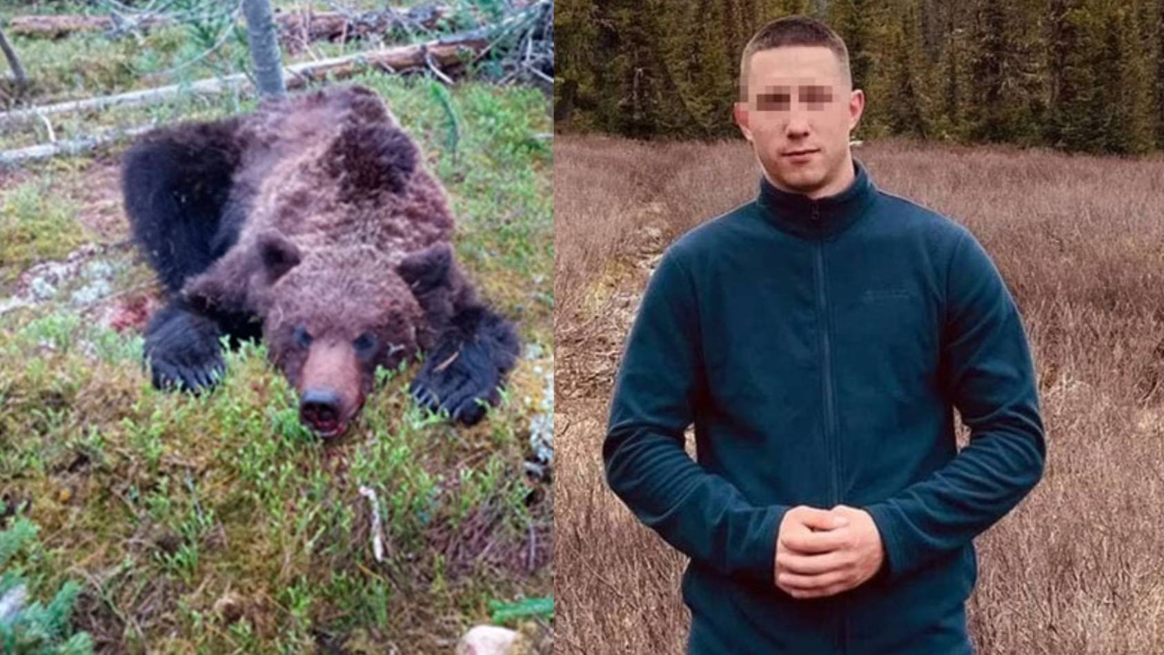 "Я уже смирился со смертью": Жуткий рассказ туриста, выжившего после нападения медведя в парке "Ергаки"