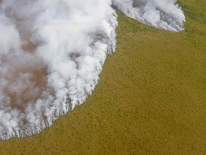 Режим ЧС ввели в районе Чукотки из-за лесных пожаров