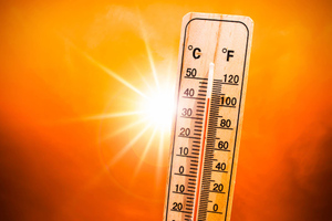 Жителей Кубани предупредили о 39-градусной жаре и угрозе пожаров