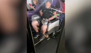 Связанный пассажир бизнес-класса из Читы помочился на пол в самолёте