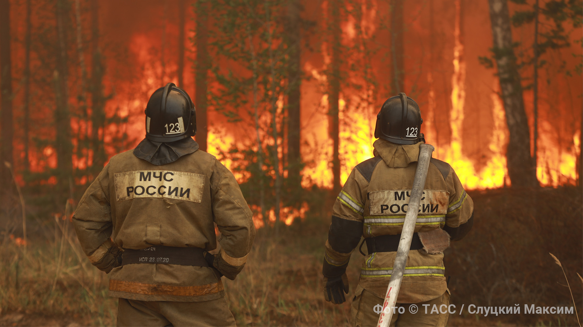 "Ад только начинается": Кто ответит за лесные пожары в России