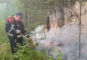 В Карелии из-за масштабных природных пожаров объявлен режим ЧС
