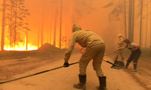 Вблизи населённых пунктов в Карелии действуют два природных пожара