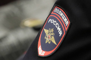 В Петербурге женщина палкой избила двух детей и сотрудницу полиции